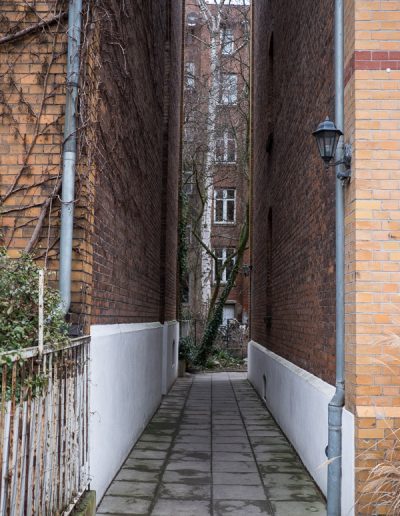 Kleine Fotosafari in Linden